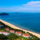 아일랜드리솜 이미지