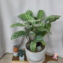 부민초등학교 건너편 이미지