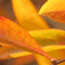 바르체 용인대 태권도장 이미지