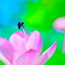 월랑 신낙형 2025. 제37호 연간집 시 3편 이미지