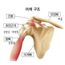 늘푸른외과 이미지