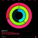 (주)열린세상 | 열려라 참깨했더니 지갑이 열린 11월 둘째주 일상