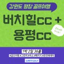 모나그라운드 | 버치힐cc 용평cc 여름골프 치기에 좋은 평창골프장 1박2일 패키지