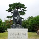 설악산 신흥사 흔들바위 이미지