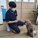 대구반려동물산업협동조합 함개하자냥 이미지