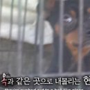 지양농장 이미지