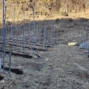 태양부동산중개 이미지