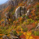 농협원대동 이미지