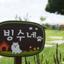 속초밤하늘글램핑 이미지