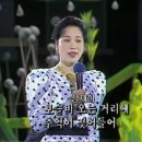 보슬비 이미지