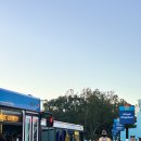 뮤직리조트 이미지