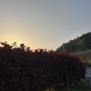 아인민박 이미지