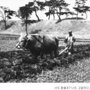 시 승격 60주년 기념 음악회 이미지