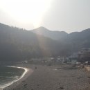 블루베리 가족 독채펜션 이미지