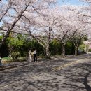 예래동사무소 이미지