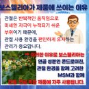 유향약국 이미지