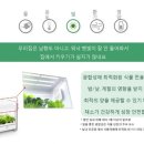 식탁위의텃밭 이미지