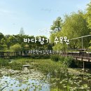 코스모스 어린이집 | 바다향기수목원 안산 후기ㅣ입장료 무료에 30만 평이라고요?