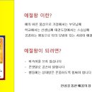 멘토 인성 태권도장 이미지