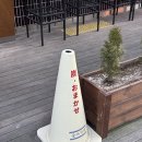 숯토리 세종나성점 네이버블로그