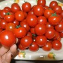 이종선농장 이미지