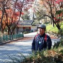 한강수변길 이미지