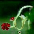 창희네 농장 이미지