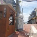 육림개발 이미지