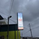 효성이네 | 울진 자연산 횟집 효성이네 내돈내산 후기