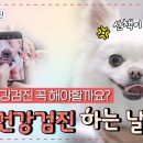 시흥탑동물의료센터 이미지