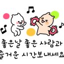 주정차단속-043 이미지
