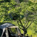 홀통183 캠핑장 이미지