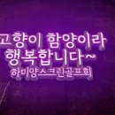 에이스 비젼골프존 이미지