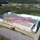 태양축산 - 중구 달구벌대로 2016-10 | 태양축산