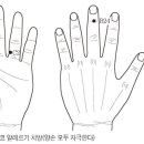 고려수지침학회 경향신문