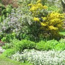 런던파크 이미지