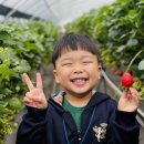 동부어린이집 이미지