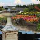 성심미소약국 이미지