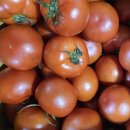 토마토 이미지