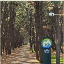 처음처럼 펜션 이미지