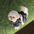 정말 정말 귀찮ㅇ은데 쓰기로 햇으니까 쓴다ㅜ 그래도해야지어떡해