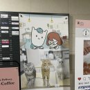 냥아치카페 이미지