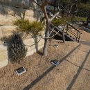 부부목장 이미지