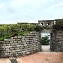 고냥이네 | 어쩌다 종로 낙산공원 성곽길 산책 ft 고냥이 멍뭉이