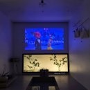 서우재 | [안동 여행] 감성 숙소 끝판왕! '서우재' 독채 한옥에서 보낸 힐링 여행(내돈내산 후기🍂)