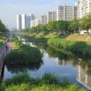 성포역부동산공인중개사사무소 이미지