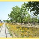 구로노인종합복지관 이미지