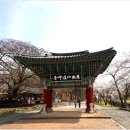 도갑사성보관 네이버블로그