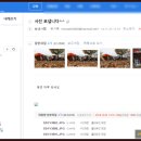 자라섬캠핑장 이미지
