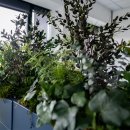 디자인그린 - 중구 | 디자인그린